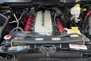 IMG_1372
